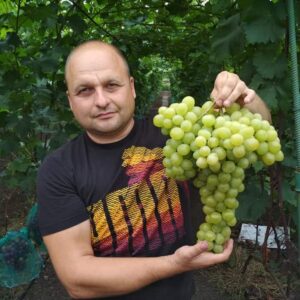 Слава Украине