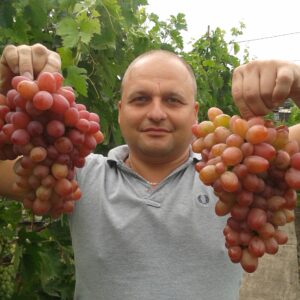 София